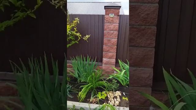 перепланировка клумбы вдоль забора смотреть онлайн