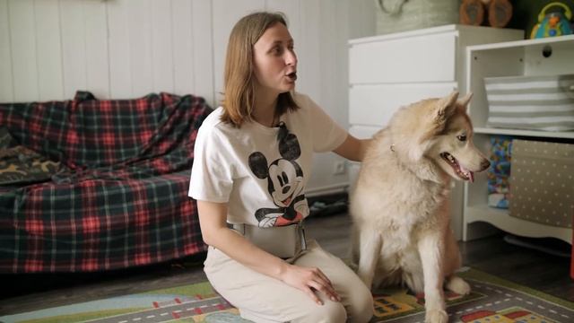 Как ухаживать за собакой и какие ветеринарные обработки ей необходимы? смотреть онлайн