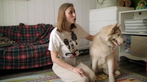 Как ухаживать за собакой и какие ветеринарные обработки ей необходимы?