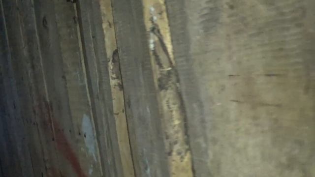 Бабочки зимуют в забросах смотреть онлайн