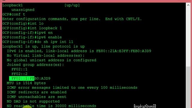 BroadcastStormER - IPv6, Solicited-Node Address. смотреть онлайн