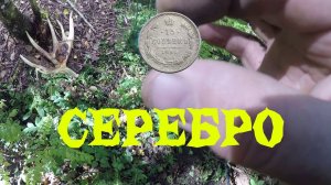 Царское серебро на хуторе в лесу. Пробили старую дорогу. Нашли рога.