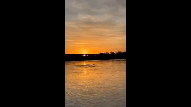 2 09 23 День г.Барнаула, переплыв р.Обь смотреть онлайн