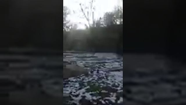 Ташкент Саломатино 7ка. смотреть онлайн