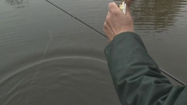 Ловим краснопёрку! смотреть онлайн