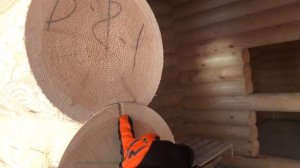 Дом из оцилиндрованного бревна полный обзор дома