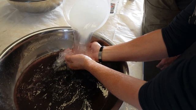How Sturgeon Caviar Is Farmed - White Sturgeon Fish Farming At Sterling Caviar