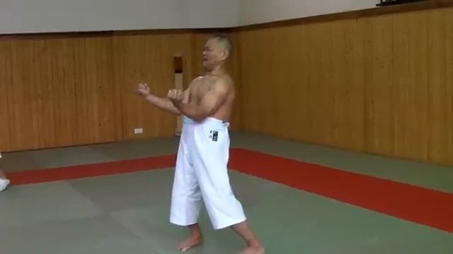 Sensei Kazuo Terauchi, Sanchin kata смотреть онлайн