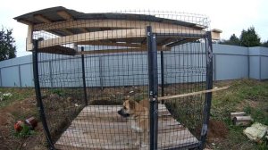 Мой вариант вальера за 15000 руб.