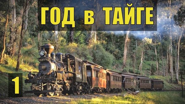 РАБОТА в ЛЕСУ НАХОДКА на ЧЕРДАКЕ ЭКСПЕДИЦИЯ ЕДУ на ПОЕЗДЕ ПРОМЫСЕЛ СУДЬБА ЧЕЛОВЕКА ЖИЗНЬ в ТАЙГЕ 1 смотреть онлайн