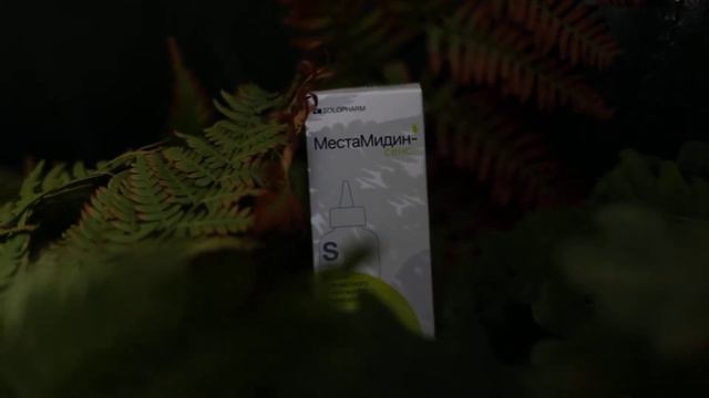 ангидак смотреть онлайн