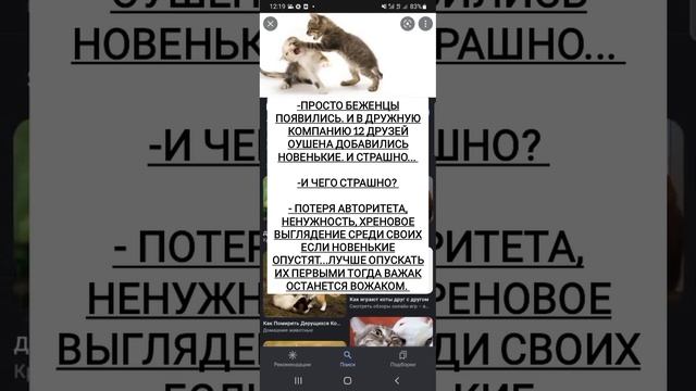 закон джунглей. акуна матата. по словацки у украинцев которые уже сдесь смотреть онлайн