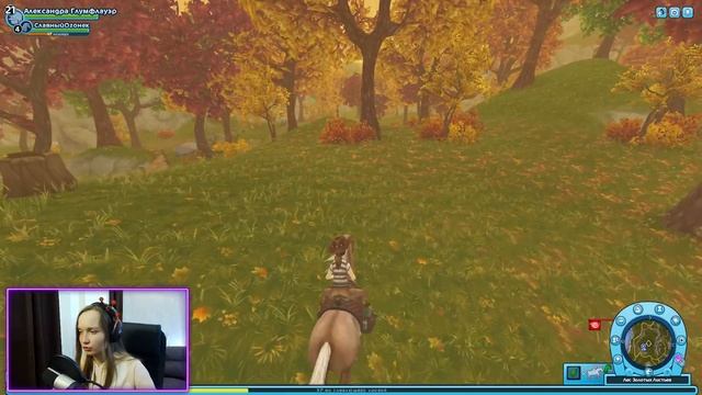 ПОКУПКА НОВЫХ ЛОШАДЕЙ! | ХЕЛЛОУИН 2021 | Как собрать все тыквы? | Star Stable смотреть онлайн