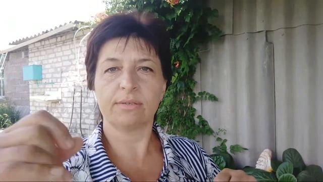 Заходите в гости. Я на даче смотреть онлайн
