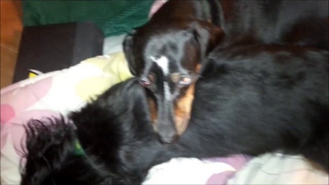 I'm So Tired mp3 смотреть онлайн