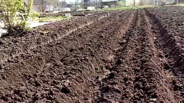 посадка картофеля под мотоблок салют.или как за один день посадить картошку! смотреть онлайн