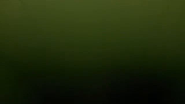 Лифты ТК Фестмолл.Лифт 2 ой(Отис 2006) смотреть онлайн