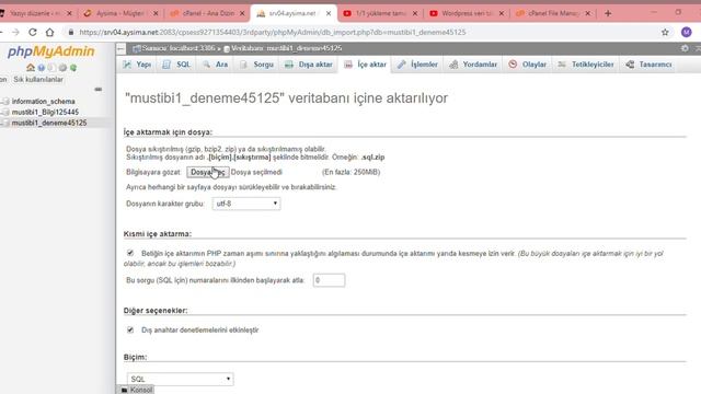 Wordpress phpmyadmin veritabanı yüklemesi смотреть онлайн
