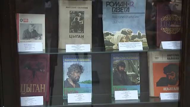 Точка на карте 22.11.2020 Анатолия Калинина часть2 смотреть онлайн