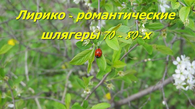 Лирико романтические шлягеры 70 80 х смотреть онлайн