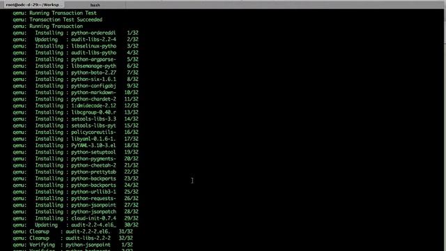 Eucalyptus 4.0 Video Series - Modify our Packer process to include additional software смотреть онлайн
