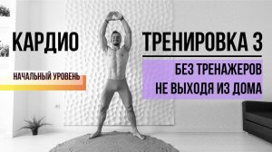 Кардио тренировка №3 дома, подойдет для начинающих с опытом тренировок. Уровень #3 из 10