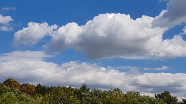 Лес облака смотреть онлайн