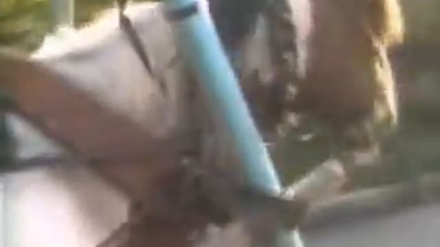 Живая вода, Валентина Савельева - 7 пятниц смотреть онлайн