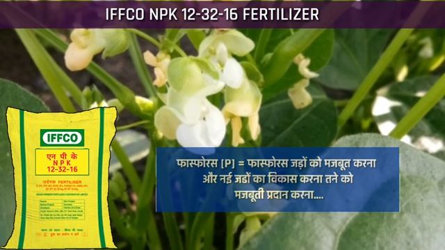 NPK 12-32-16 | Fertilizer | Iffco NPK Fertilizer | DAP Vs NPK |Khad| смотреть онлайн