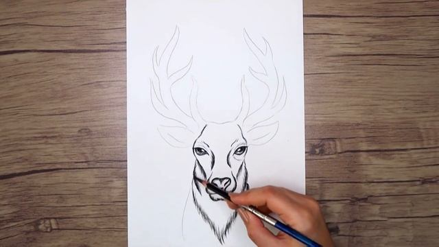 how to draw a deer head easy for beginners смотреть онлайн