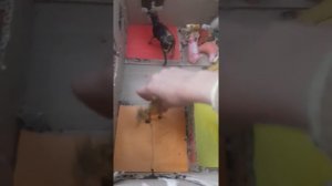 Обзор на конюшню шляйх самодельную лошади не шляйх