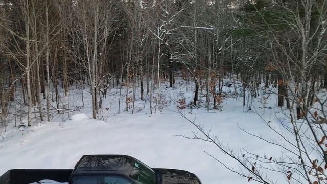 The Return to the Cabin and First Snow Clear of Winter смотреть онлайн
