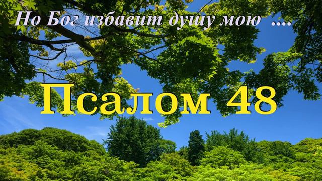 Псалом 48. Но Бог избавит душу мою от власти преисподней, когда примет меня. смотреть онлайн