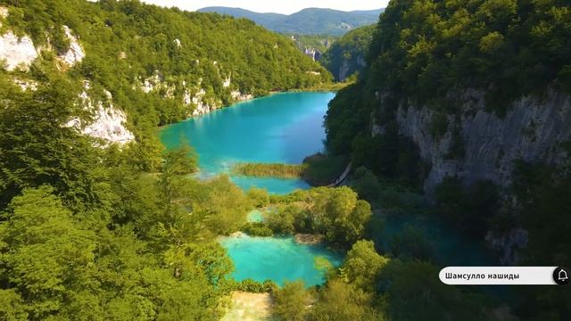 Коран сура Ал-Ихлас видео 4к Миншави -Minshawiy