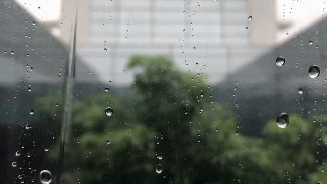 Lounge Mix Com  Imagens De Chuva. Música Relaxante. Acalma, Inspira E Relaxa.