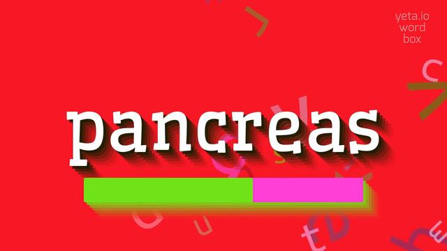 How to say "pancreas"! (High Quality Voices) смотреть онлайн