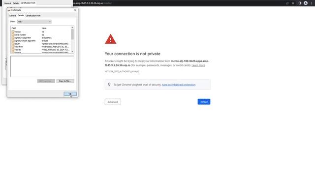 How to import a Merlin certificate - Windows Chrome смотреть онлайн
