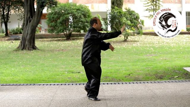 Tai Chi Yang Family Forma 10 movimientos смотреть онлайн