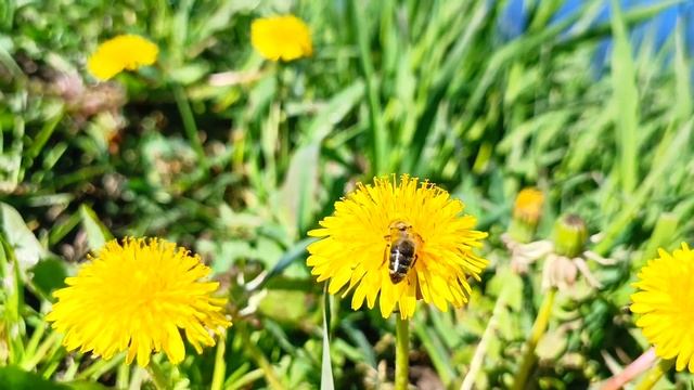 Здоровое Питание и Диеты