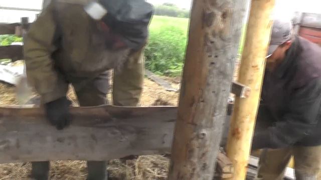 К Минаевой Любови  с топорами и столбами.  24. 06. 2019