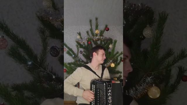 Делюсь с вами новогодним настроением, пусть сбываются мечты!🎄🎄🎄✨ Роман Мишин. #гармонь #баян #музык смотреть онлайн