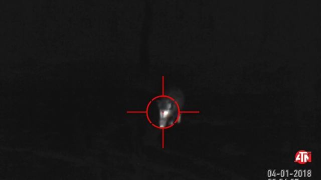 тепловизионные прицелы серии MARS-HD компании ATN 4,5*18 на 384 матрице смотреть онлайн