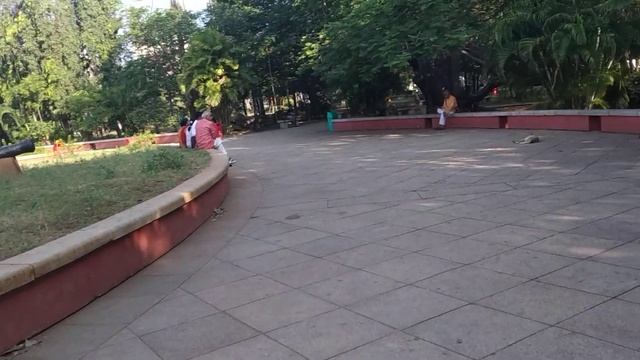 #ЮжнаяИндия Парк Бхарати - #Парк в городе #Пондичерри #Индия #МарияКарпинская смотреть онлайн