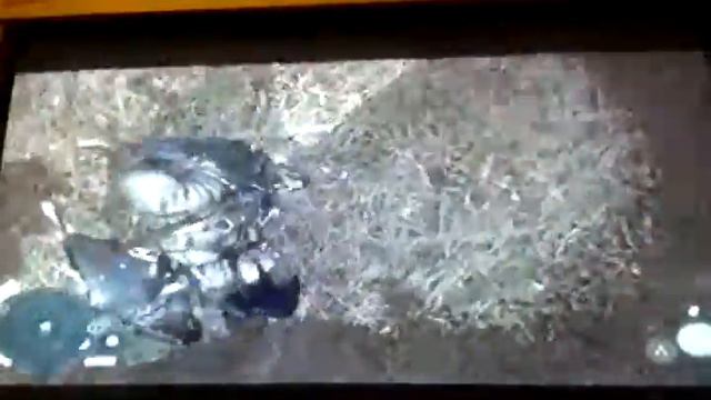 assassins creed 3 killing animals смотреть онлайн