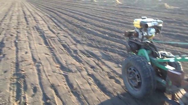 Мотоблок з сеялка в деле. Посев свеклы! Motoblock s seeder in. Sowing beets! смотреть онлайн
