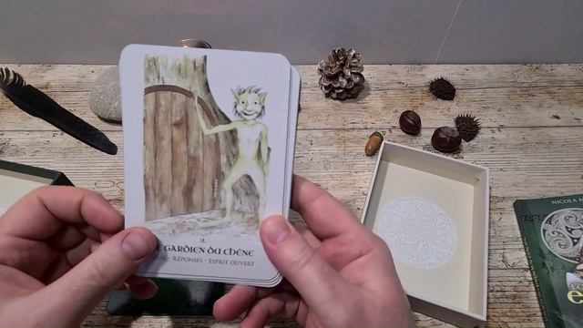 L'Oracle des Esprits Celtes смотреть онлайн