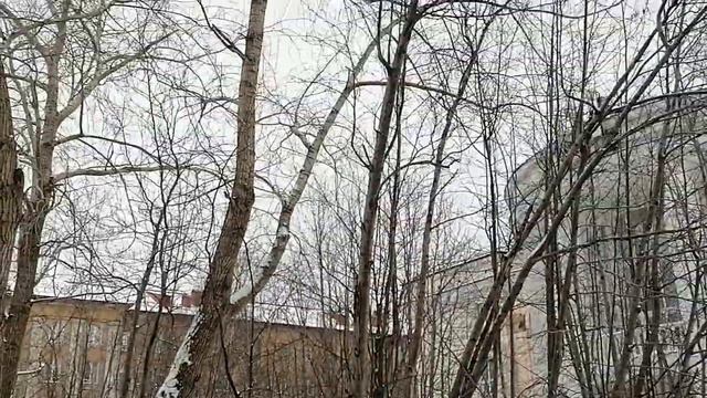 Зима весной? Легко! Кому немного снега? смотреть онлайн