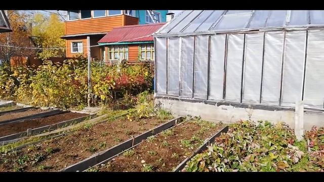 осень на Камчатке. Гало. Немного гитары. смотреть онлайн