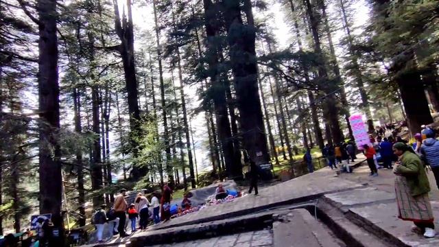 A Taste of History! Hadimba Devi Temple and Authentic Local Food! bengali vlogger смотреть онлайн