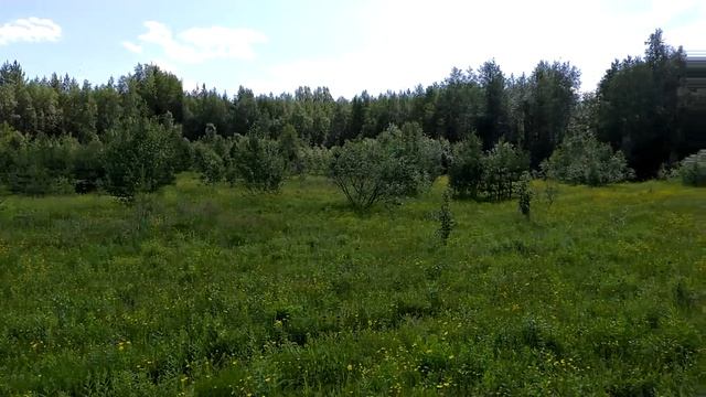 Велоприцеп своими руками,продолжение смотреть онлайн